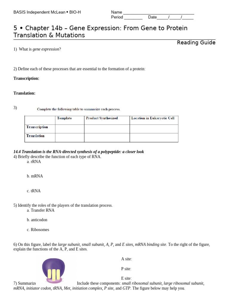 Chapter+14b+Reading+Guide | PDF