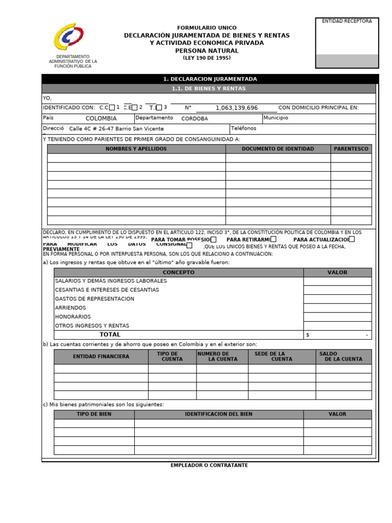 Declaracion Bienes y Renta Persona Natural | PDF | Parentesco ...