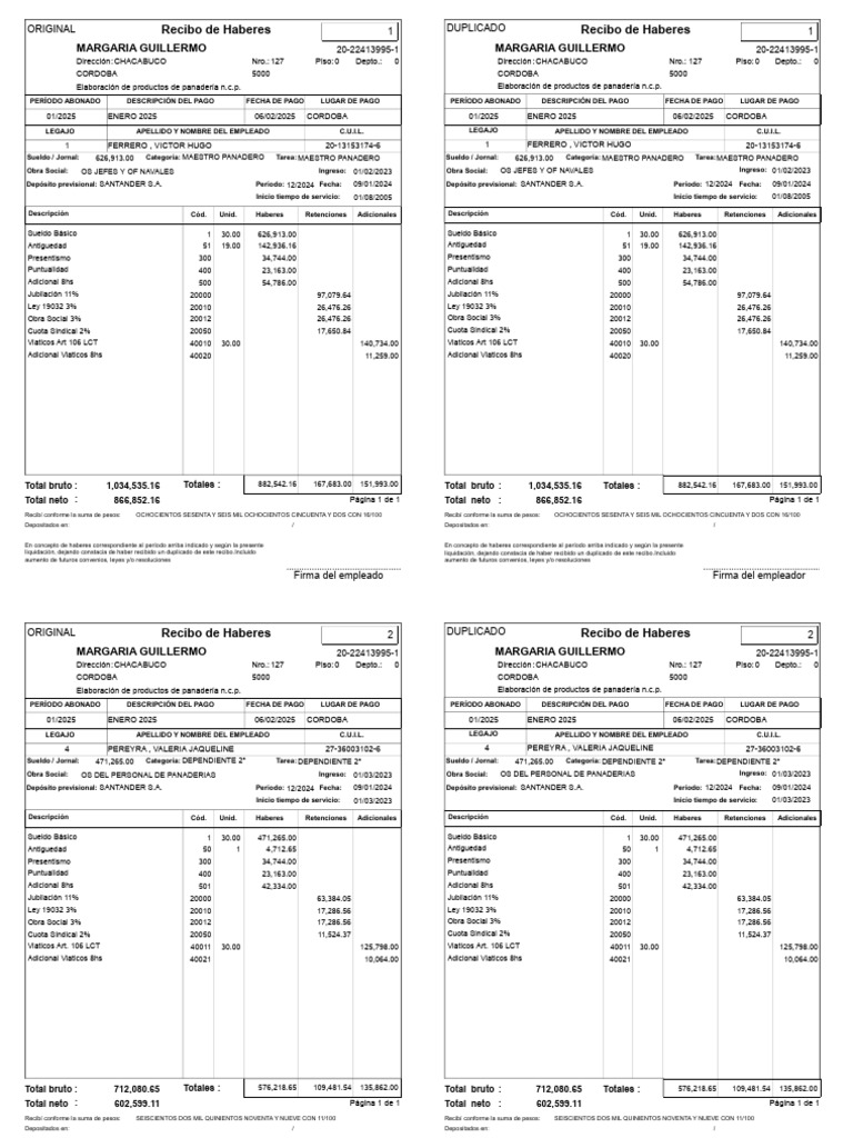 01 2025 recibos sueldo pdf econom a demogr fica vejez
