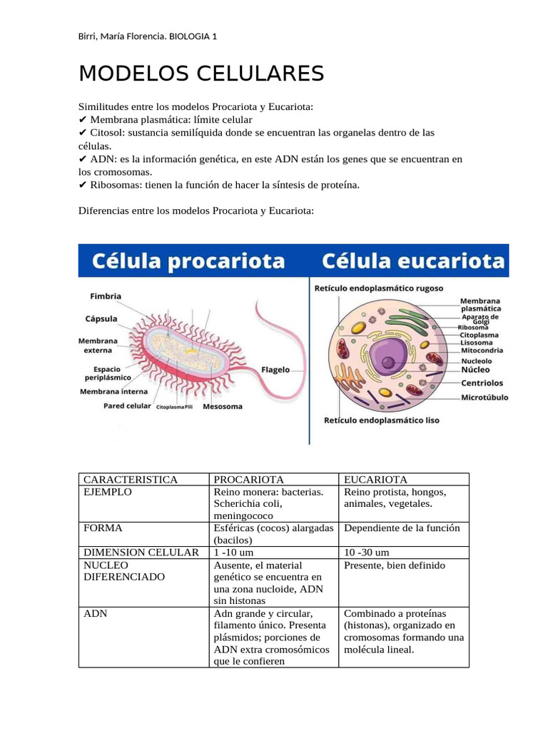Comparativa de Células Procariotas y Eucariotas | PDF | Biología ...