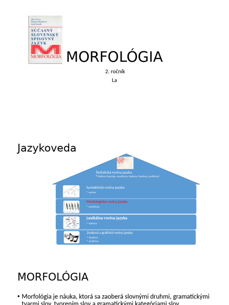 Morfológia | PDF