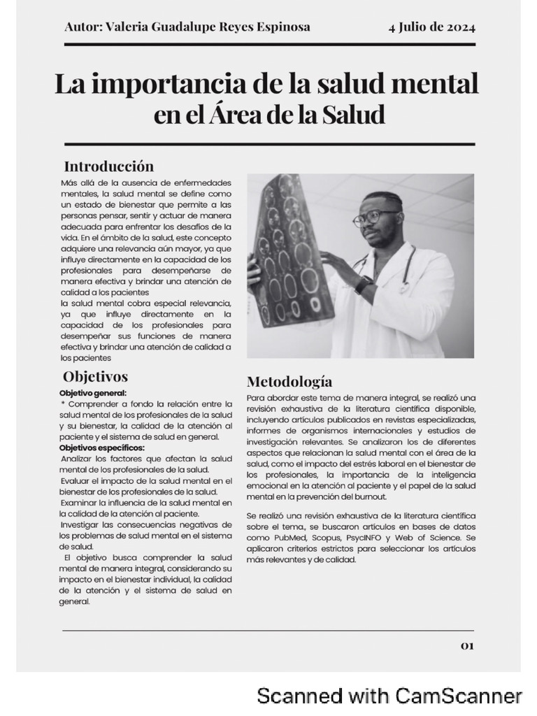 Artículo Importancia de La Salud Mental en El Area de La Salud | PDF