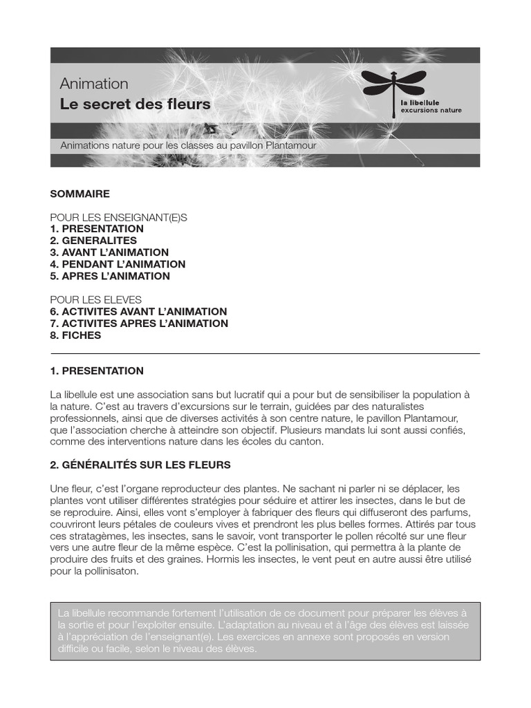 Animation sur la pollinisation des fleurs | PDF | Fleurs | Pollinisation