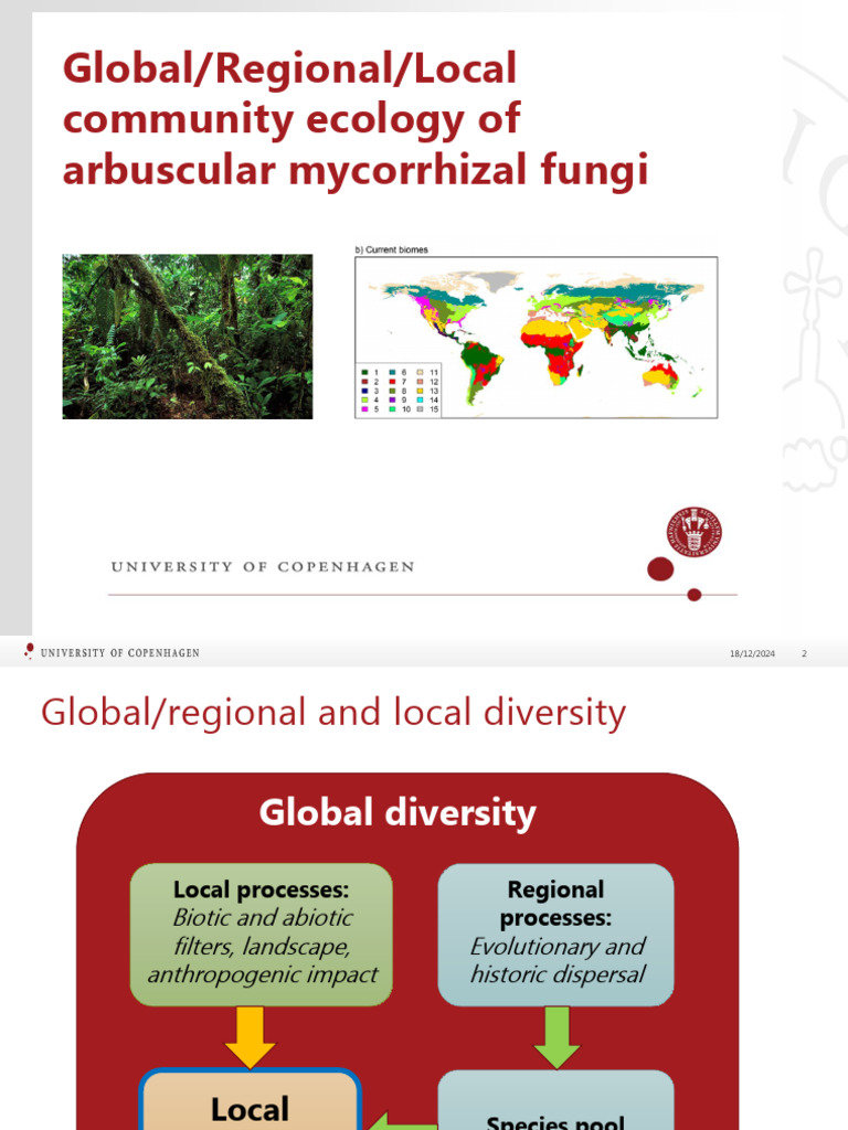 Global Diversity of Arbuscular Mycorrhizal Fungi | PDF | Biodiversity ...