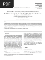 Antimicrobial and Healing Activity of Kefir and Kefiran Extract