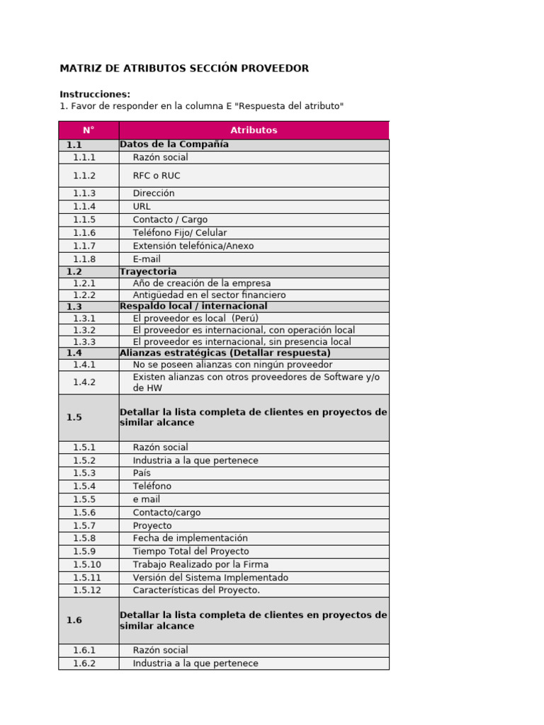 Formato RFI Por El Proveedor | PDF