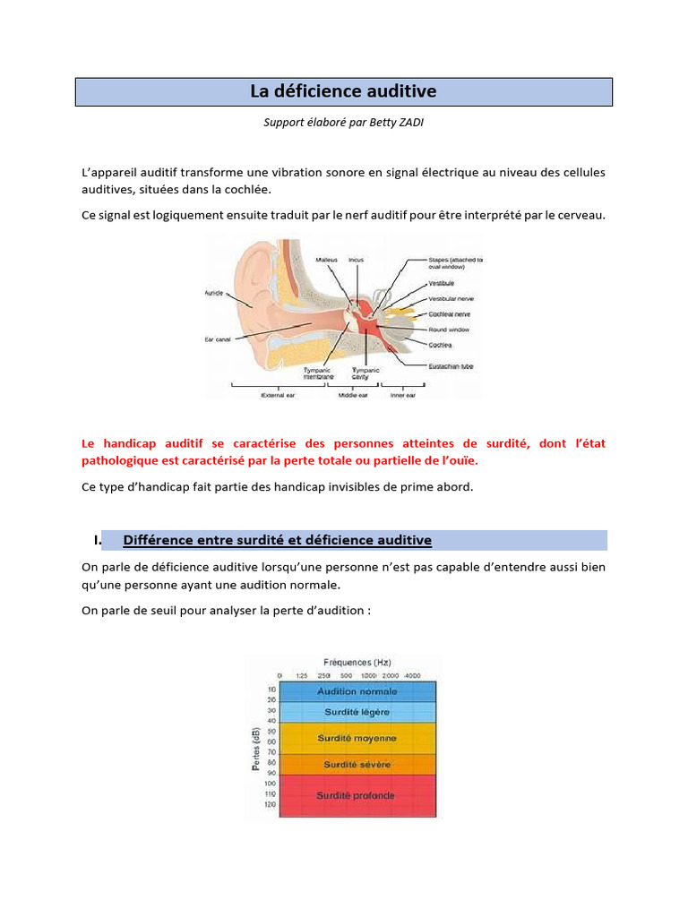 Comprendre la déficience auditive | PDF | Audition