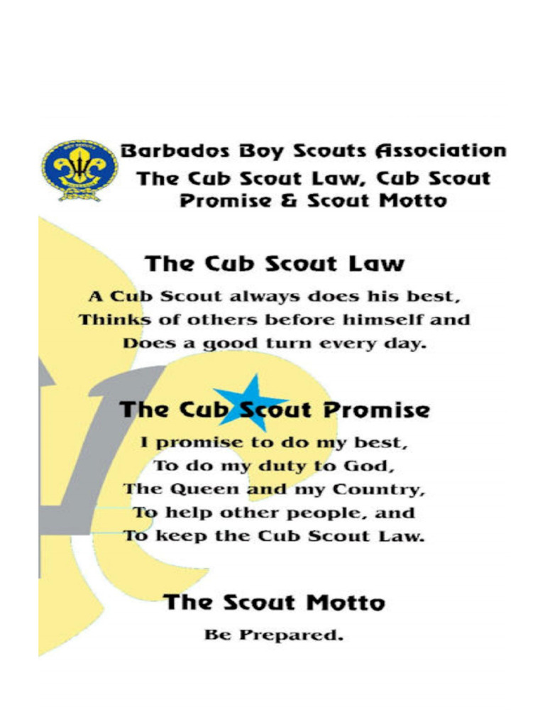 Cub Scout | PDF