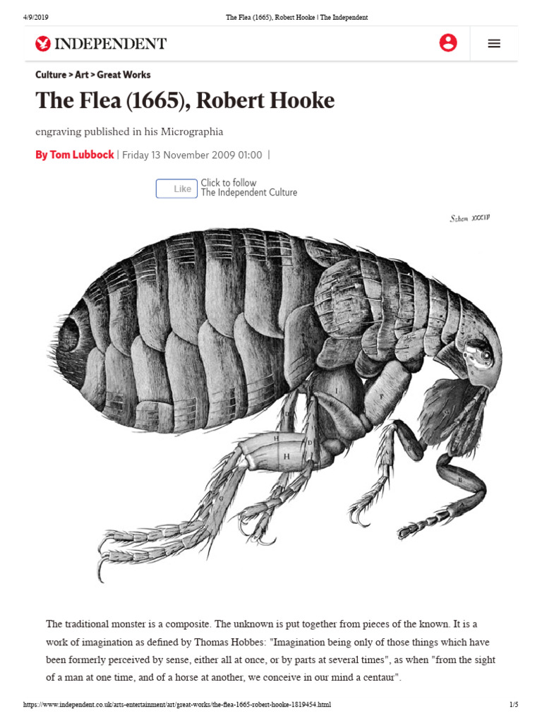 Robert Hooke's The Flea: A Microscopic Marvel | PDF