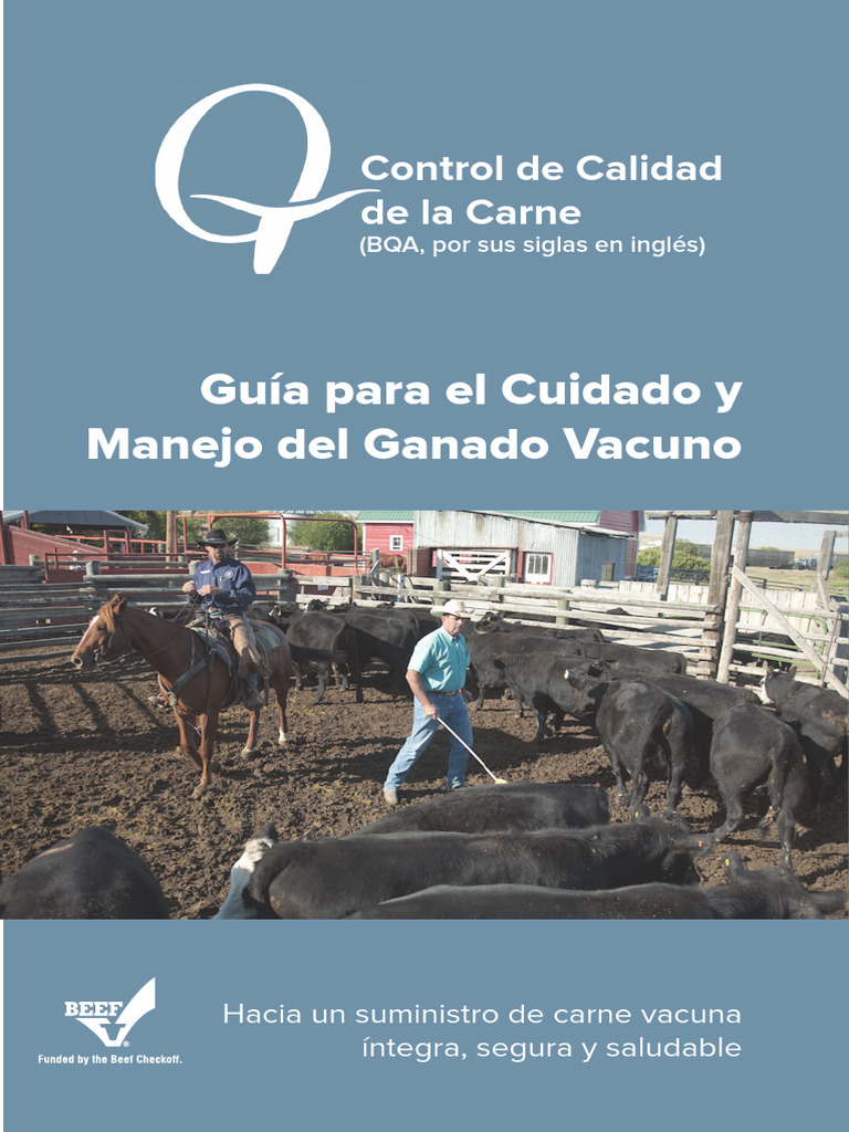 Guía BQA para Cuidado de Ganado Vacuno | PDF | Alimentos | Calibre