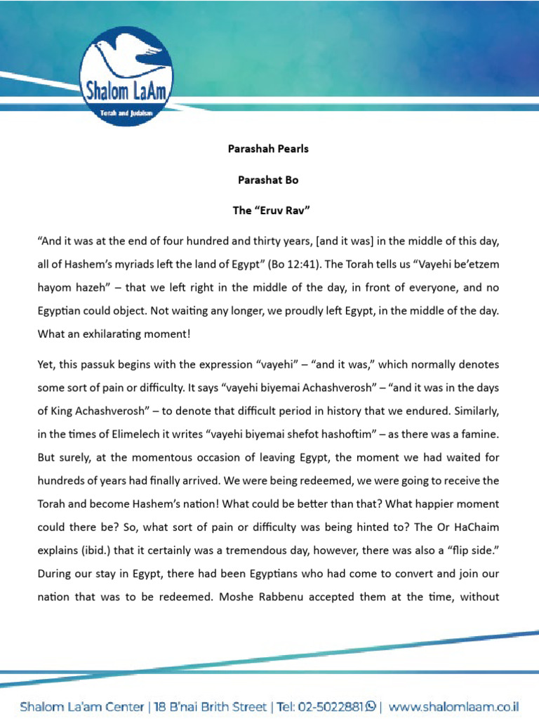 The Eruv Rav: Challenges in Faith | PDF | Religious Belief And Doctrine ...