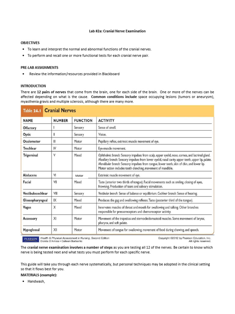 Cranial Nerve Examination Guide | PDF | Nervous System | Neuroscience