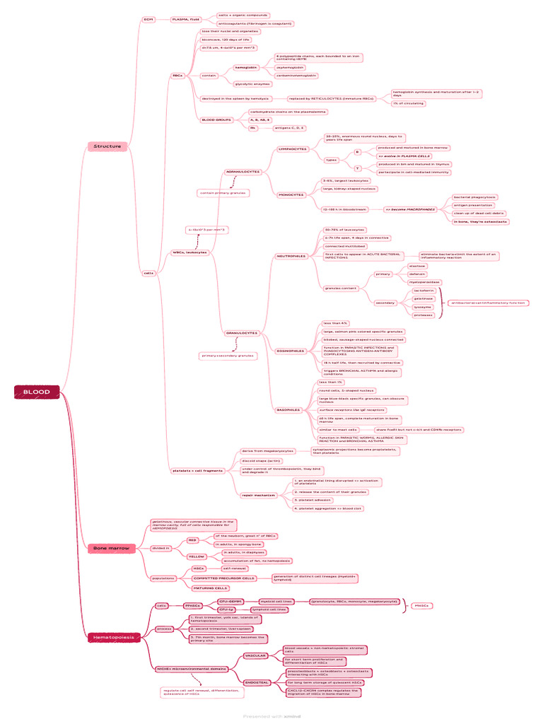 Blood Composition and Cell Types Explained | PDF | White Blood Cell ...