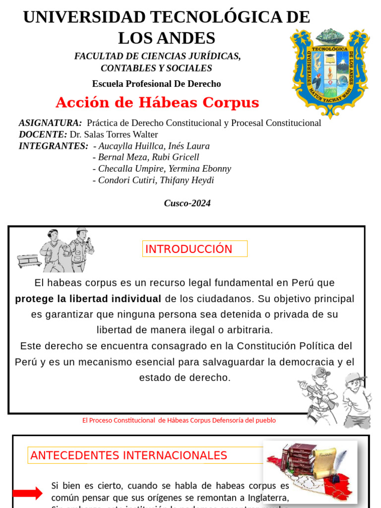 Proceso y Derechos del Hábeas Corpus en Perú | PDF | Habeas corpus ...