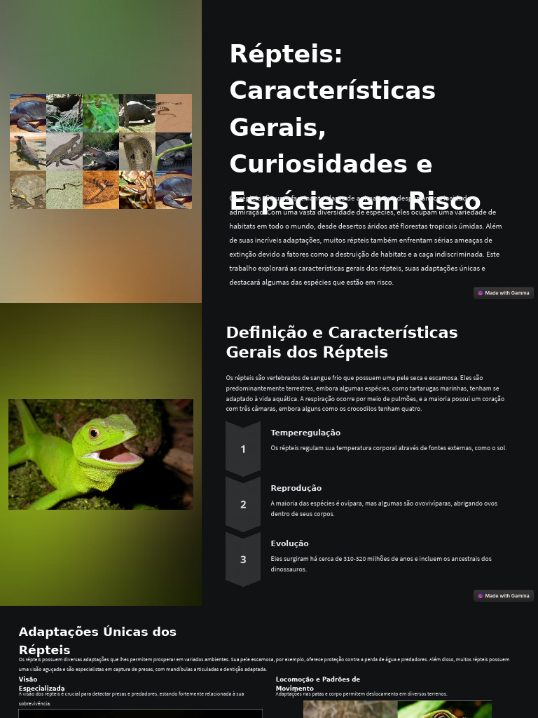 Repteis Caracteristicas Gerais Curiosidades e Especies em Risco | PDF ...
