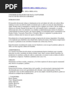 Download Achiote - Cultivo de Achiote Bixa Orellana l by ospino1 SN82500603 doc pdf