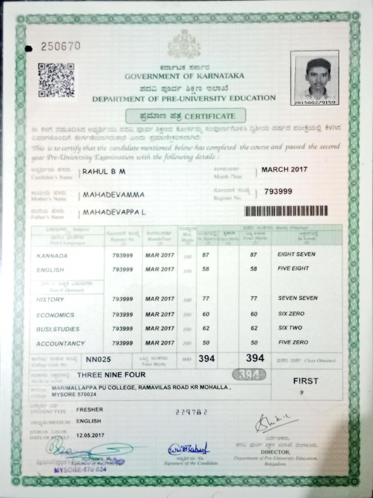 Karnataka 2nd PUC Marks Card Details | PDF