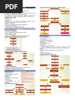 Insulin Protocol: Basal, Bolus, Correction | PDF | Insulin | Hypoglycemia