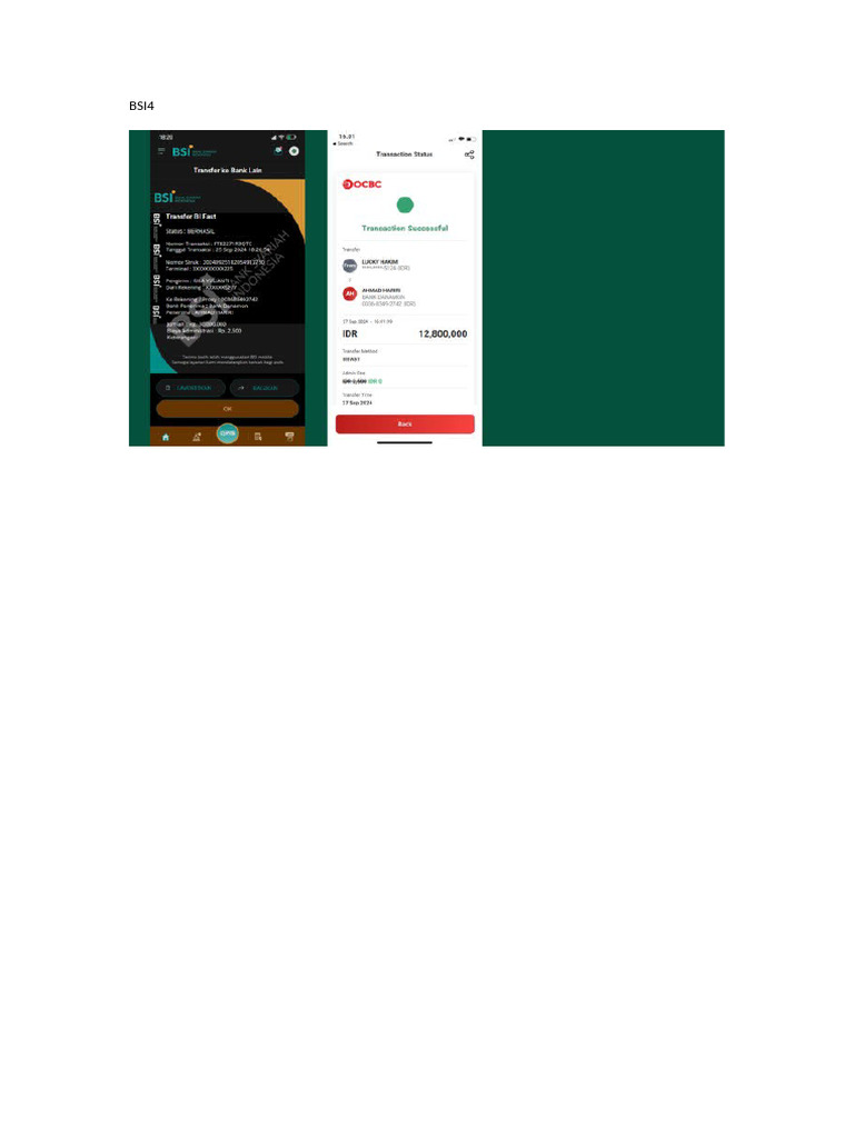 BSI4 | PDF