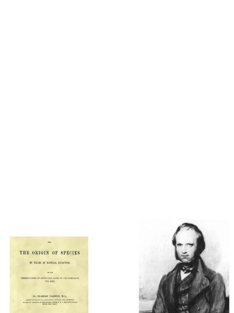 Lecture+%233+ +Evolutionary+Processes | PDF | Evolution | Population ...