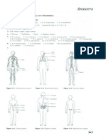 Anatomy and Physiology Summary