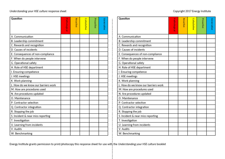 Understanding Your HSE Culture Response Sheet v1 | PDF