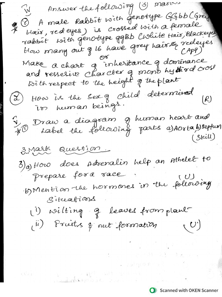 Group7 QP Eng Medium | PDF
