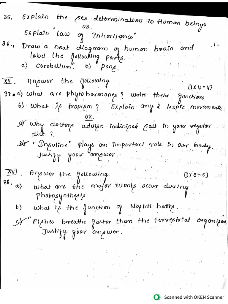 group 12 qp eng | PDF