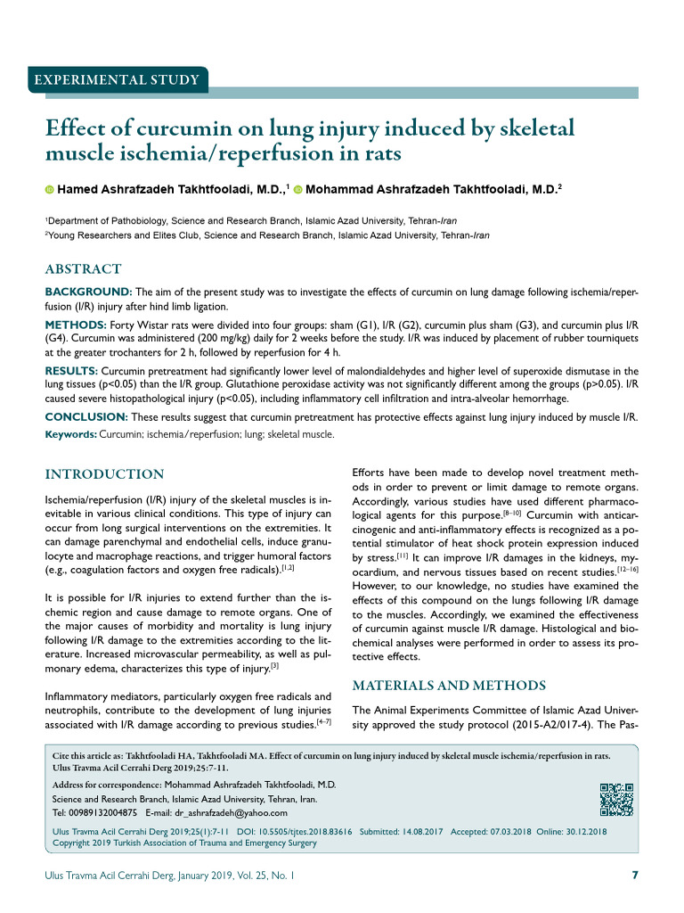 Effect of Curcumin On Lung Injury Induced by Skeletal | PDF ...