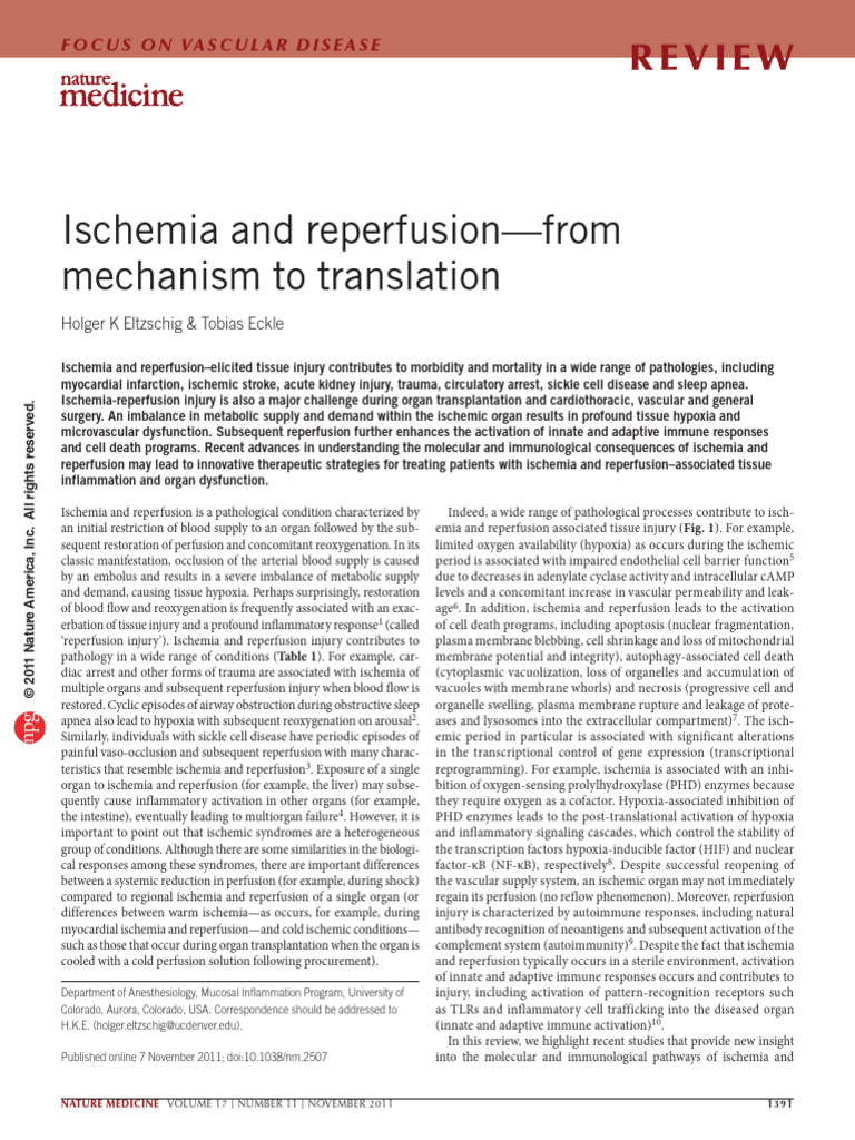 Ischemia and Reperfusion-From | PDF | Ischemia | Inflammation