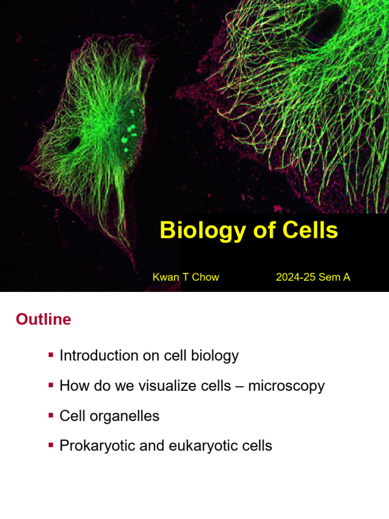 Cell Biology: Structure and Function | PDF | Endoplasmic Reticulum ...