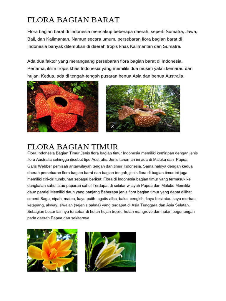 Persebaran Flora Indonesia Bagian Barat | PDF