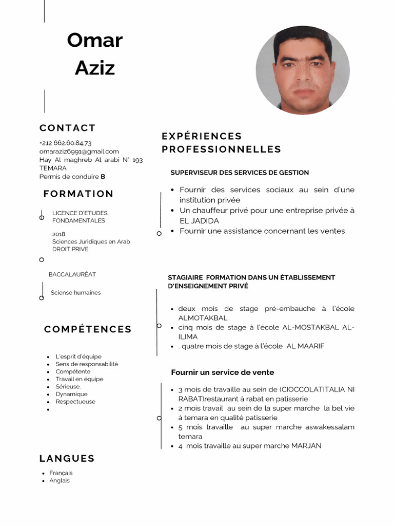 CV Professionnel | PDF