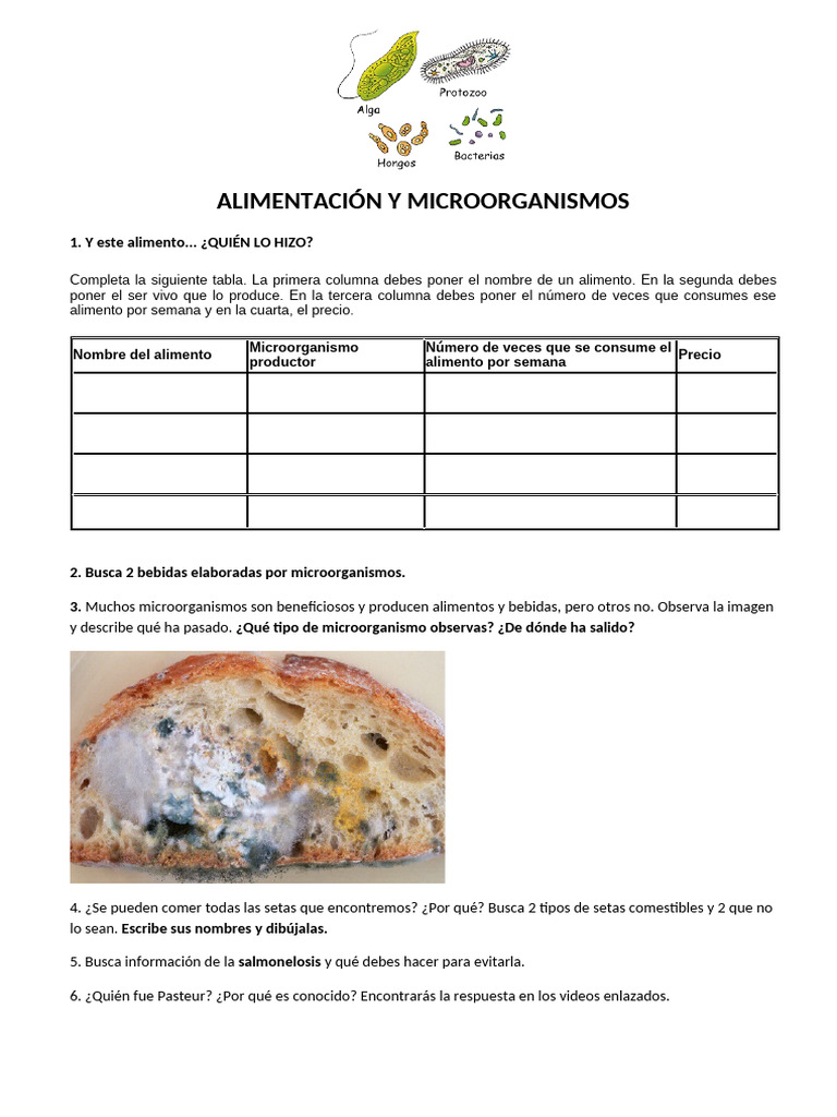 Microorganismos y Alimentos Ficha | PDF