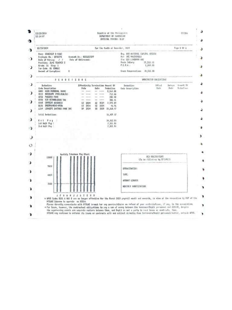 PAYSLIP PDF