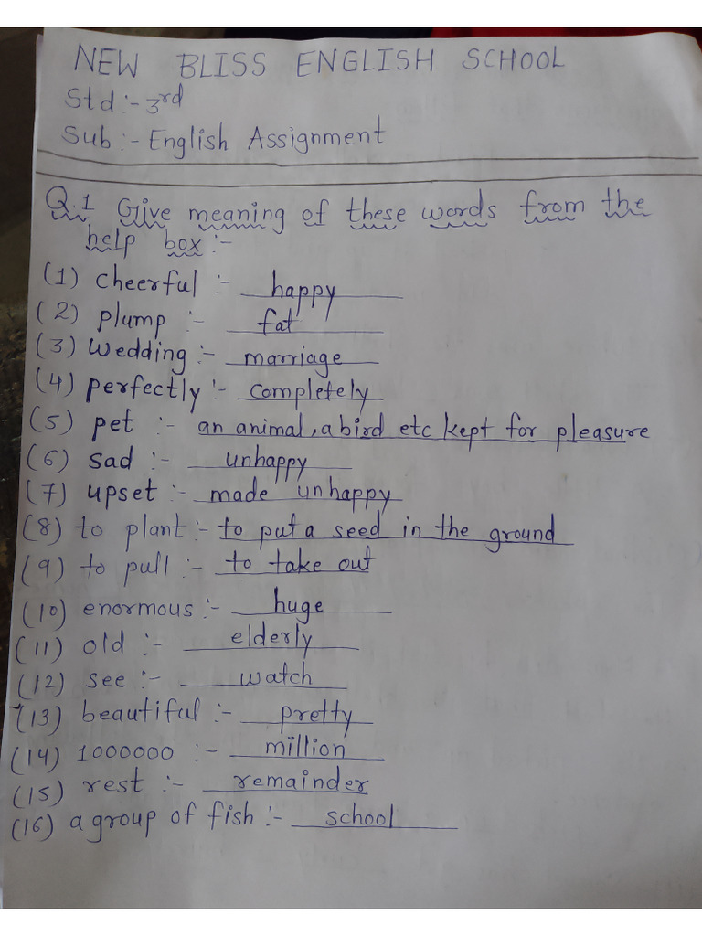 3rd English Assignment | PDF