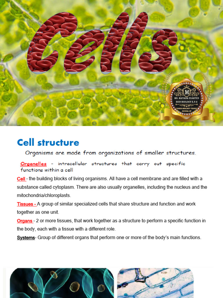 Understanding Cell Structure and Functions | PDF | Cell (Biology ...