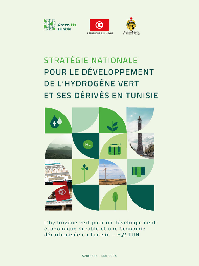 Stratégie de l'Hydrogène Vert en Tunisie | PDF | Hydrogène | Décarbonation