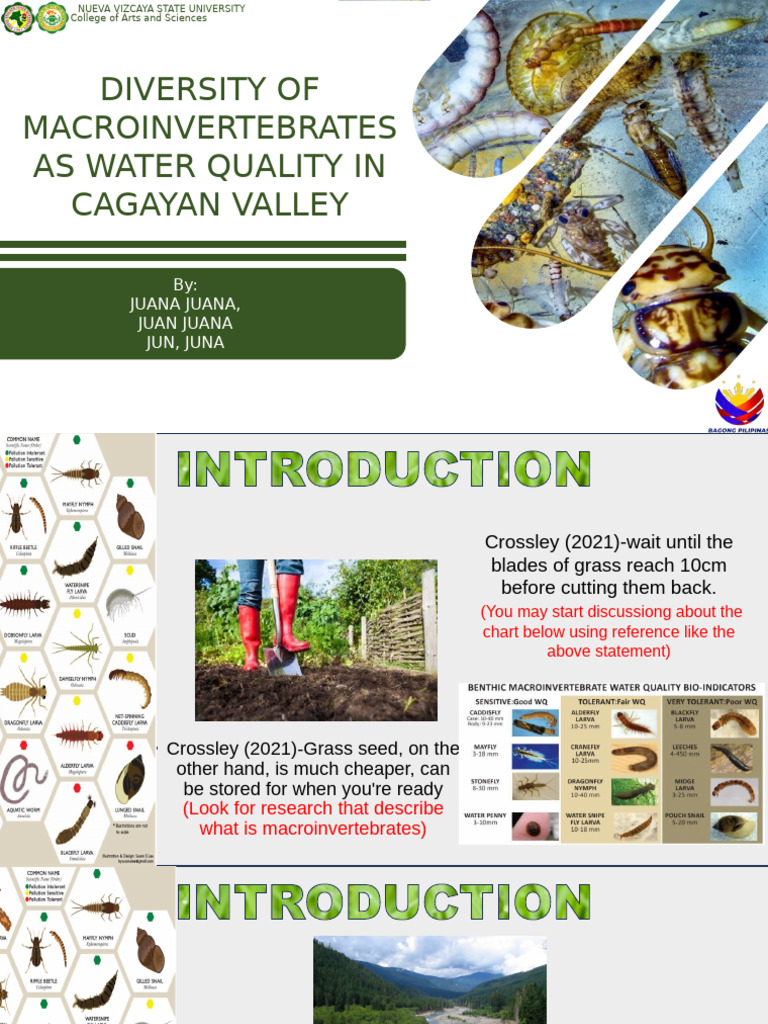 Macroinvertebrate Diversity and Water Quality | PDF | Insects