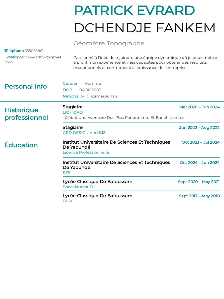 CV de Patrick Evrard Dchendje Fankem | PDF