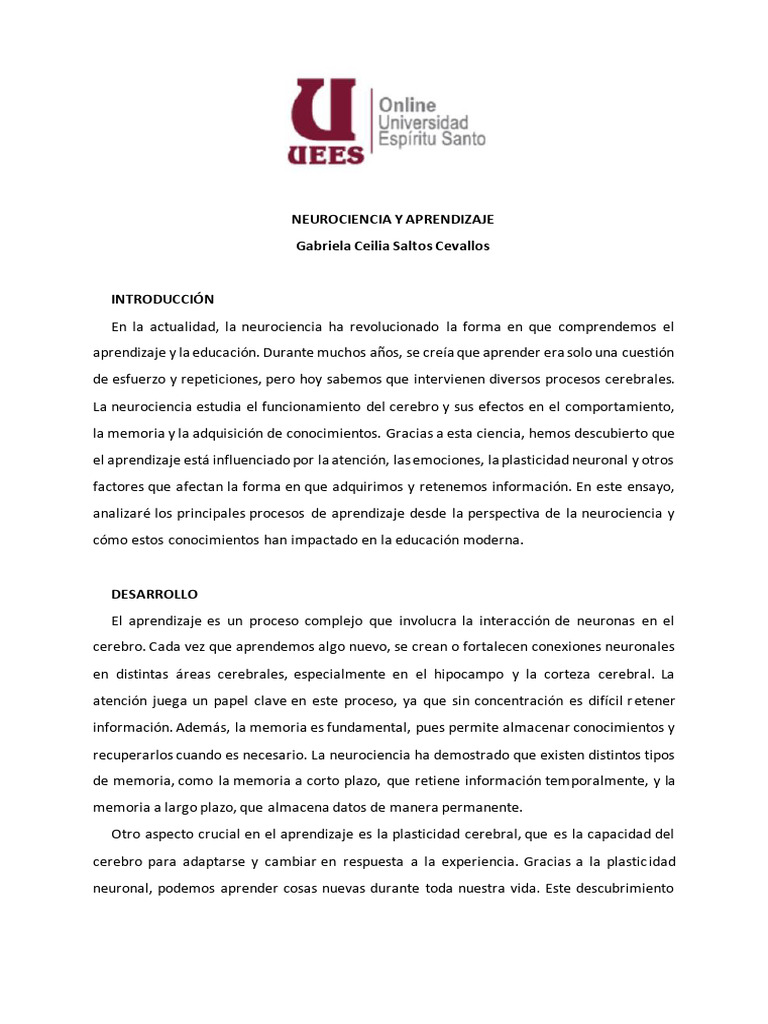 Neurociencia y su Impacto en el Aprendizaje | PDF | Aprendizaje | Memoria