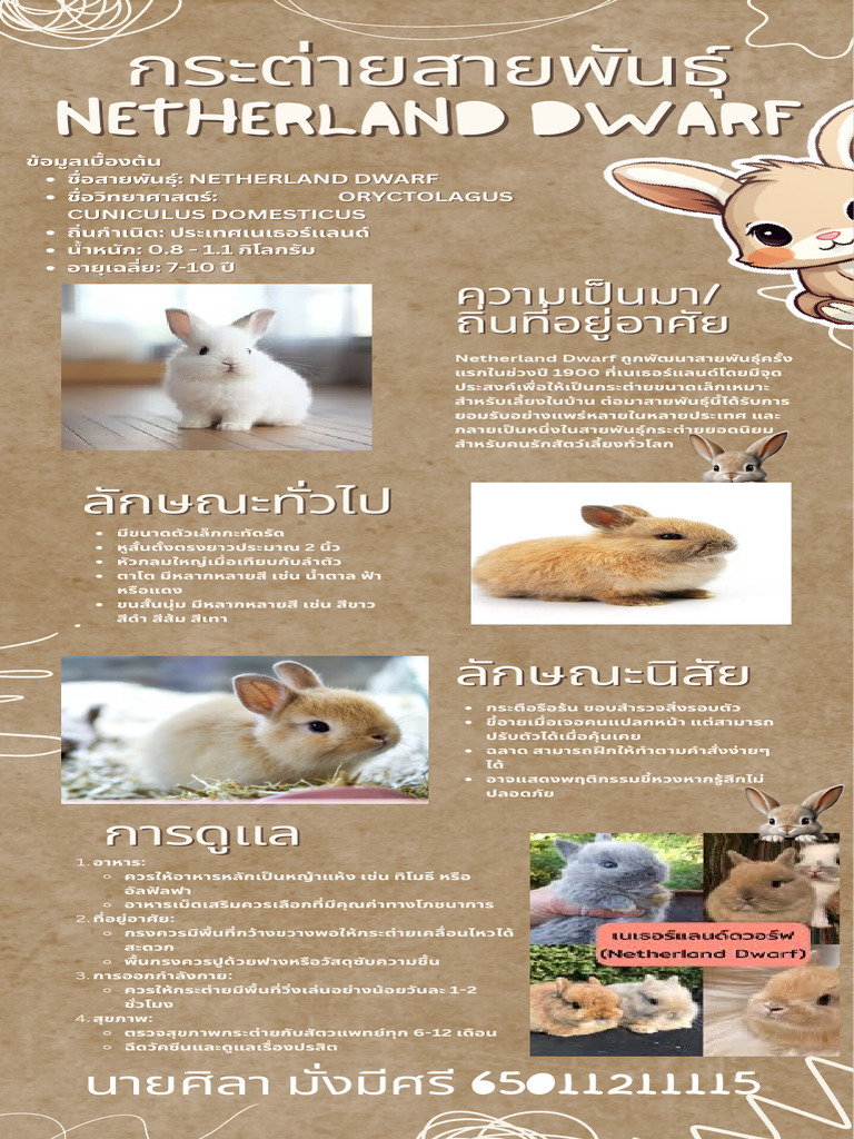 Beige Illustrated Writing and Literature Infographic | PDF