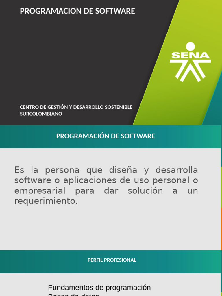 Perfil Profesional en Programación Software | PDF