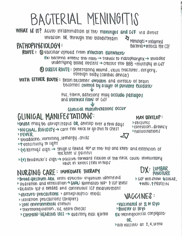 Bacterial Meningitis | PDF