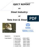 Project Report on TATA Steel