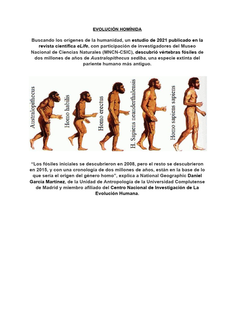 Orígenes y evolución del ser humano | PDF | Humano | Homo