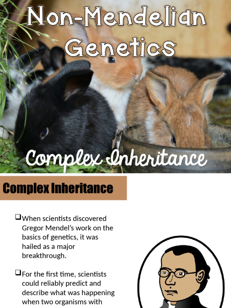 Complex Inheritance Student Notes | PDF | Dominance (Genetics) | Genotype