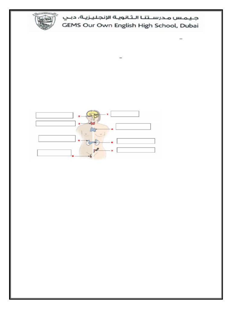Control and Coordination Worksheet | PDF | Plant Hormone | Auxin