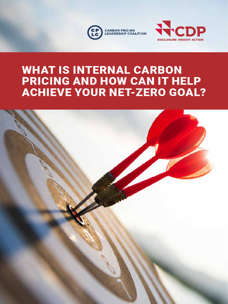 Icp White Paper Final 1 Pdf Climate Change Mitigation Emissions