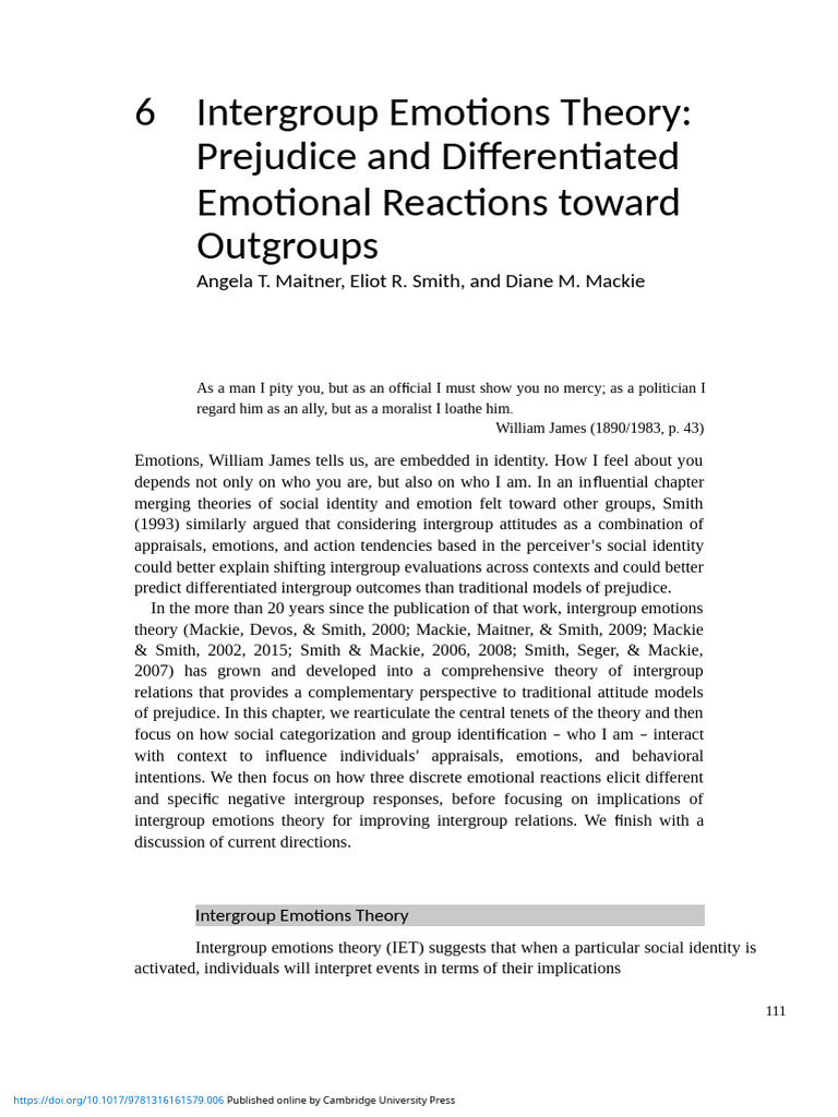 Intergroup Emotions Theory Explained | PDF | Emotions | Anger